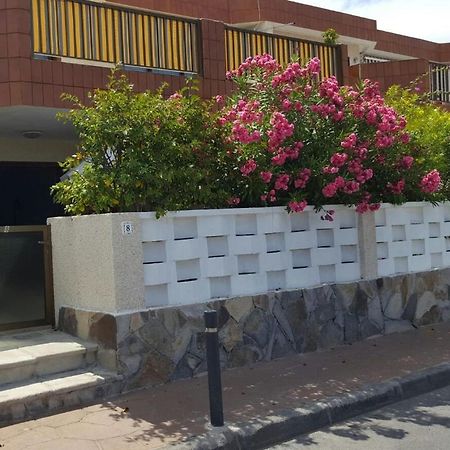 Apartamento Cerca De La Playa Daire Acantilado de los Gigantes Dış mekan fotoğraf