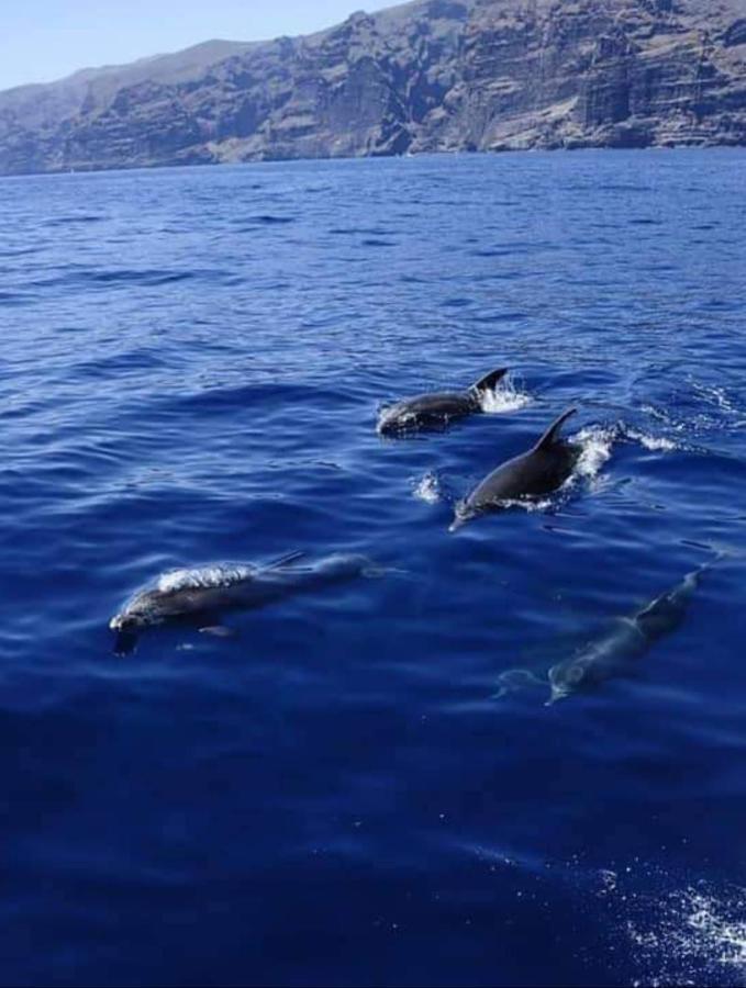 Apartamento Cerca De La Playa Daire Acantilado de los Gigantes Dış mekan fotoğraf